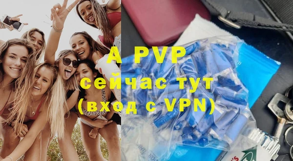 метадон Инта
