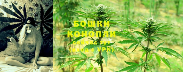 метадон Инта