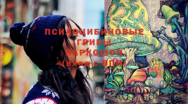 дживик Иннополис